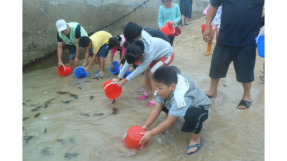 龍門國小的小朋友溫柔地將小魚們送回大海的家。